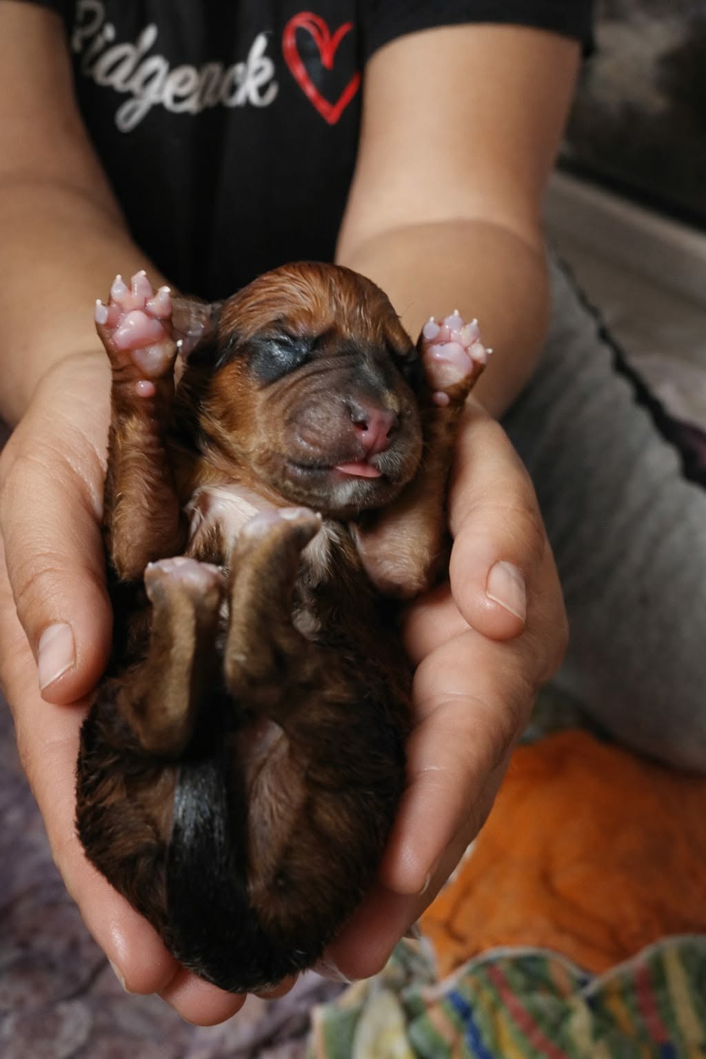 Pár momentek jak jsme přišli na svět